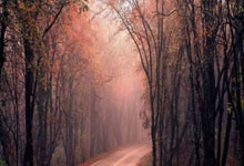 用哪些app看股票:股票操盘手炒股软件下载-英伟达否认H100/H200芯片短缺传闻